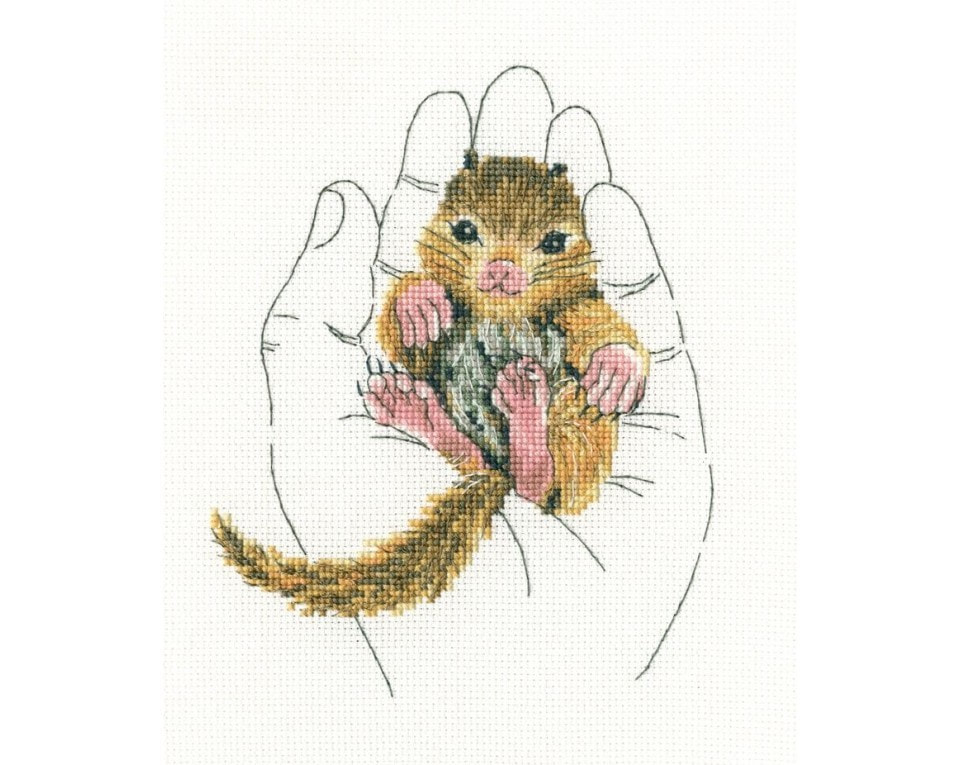 craftvim cross stitch kit squirrel in hand aida fabric