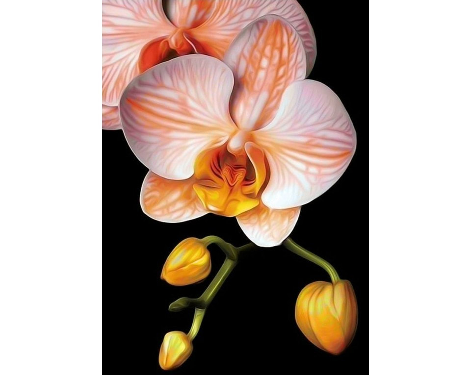 craftvim diamond painting art kit peach orchid