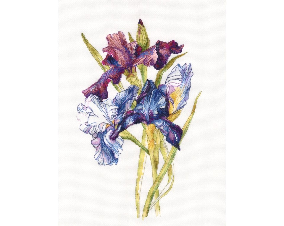 craftvim cross stitch kit iris flowers aida fabric